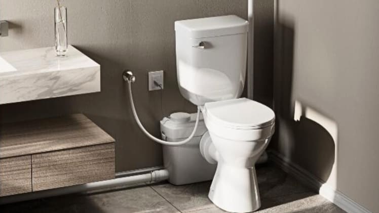 Elevate Your Home with MaceratingFlo: The Ultimate Basement Bathroom Solution